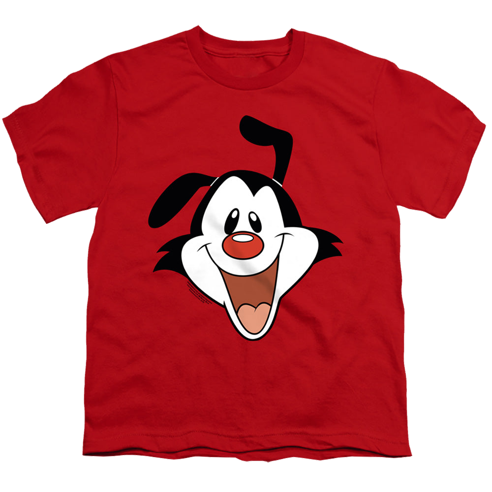 Animaniacs Yakko Head - Youth T-Shirt Hoodie, Sweatshirt | CiraTrend.com