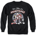 Animaniacs Its Time For - Men's Crewneck Sweatshirt T-Shirts, Hoodie | CiraTrend.com