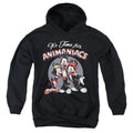 Animaniacs Its Time For Kids Youth Hoodie Black T-Shirts, Sweatshirt | CiraTrend.com