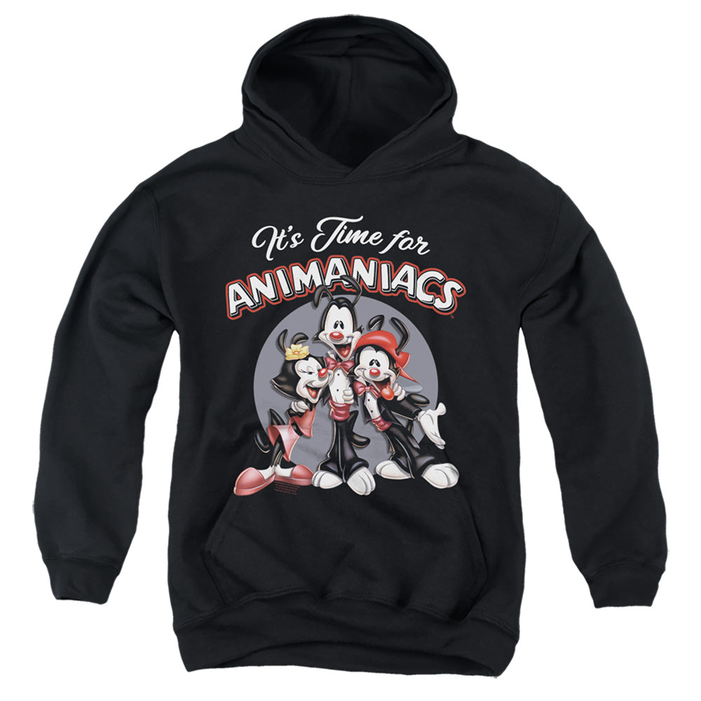 Animaniacs Its Time For Kids Youth Hoodie Black T-Shirts, Sweatshirt | CiraTrend.com