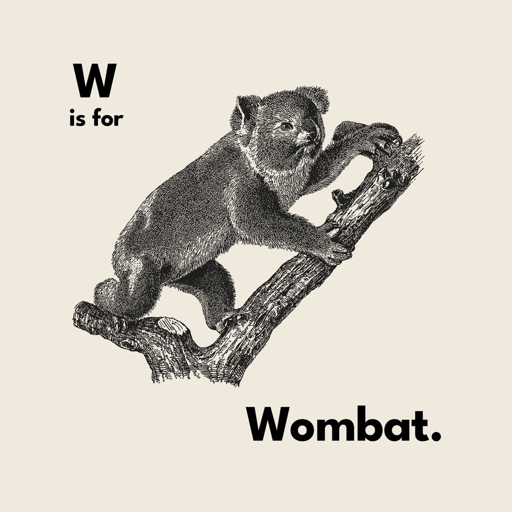W Is For Wombat Oversized Tee Hoodie, Sweatshirt | CiraTrend.com (Image 4)