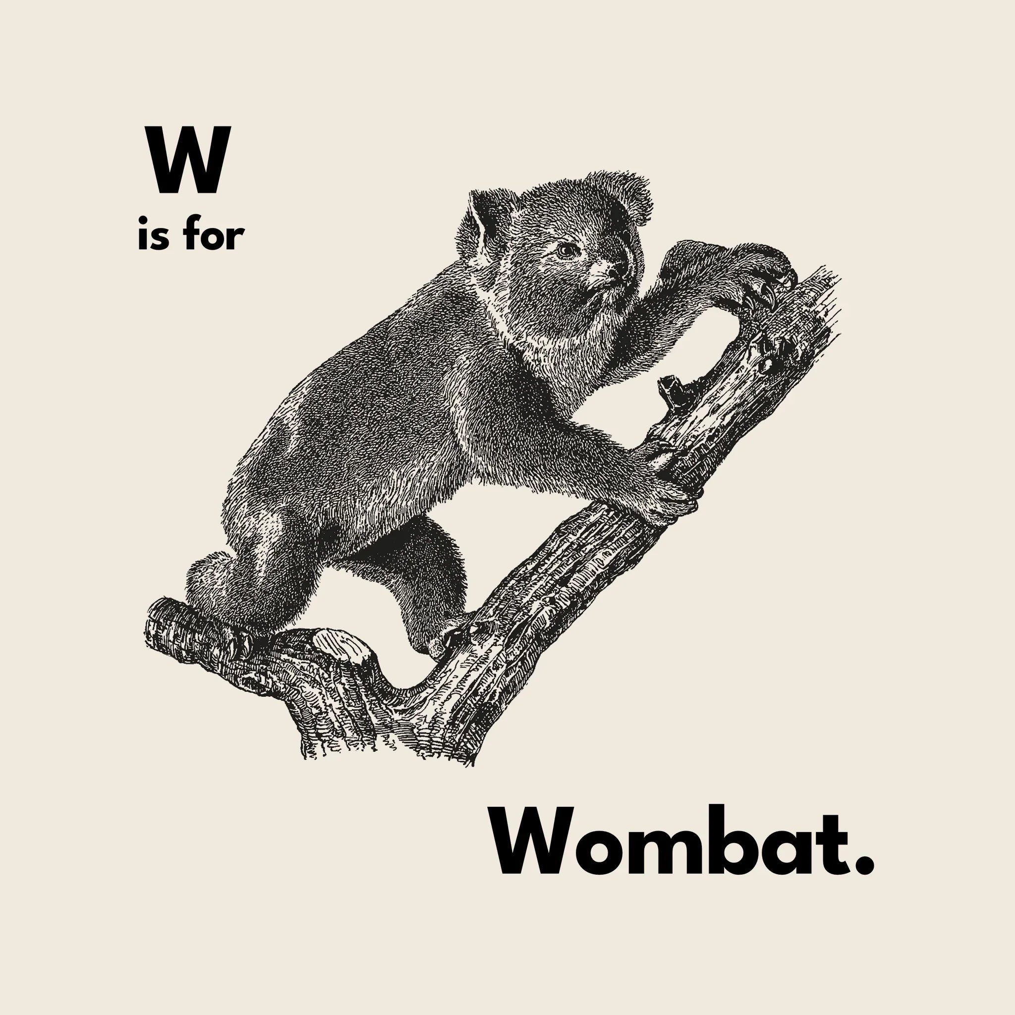 W Is For Wombat Oversized Tee Hoodie, Sweatshirt | CiraTrend.com (Image 4)