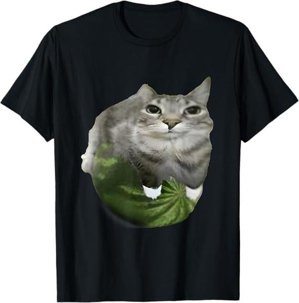 Watermelon Cat Silly Cat Meme T-Shirt Hoodie, Sweatshirt | CiraTrend.com