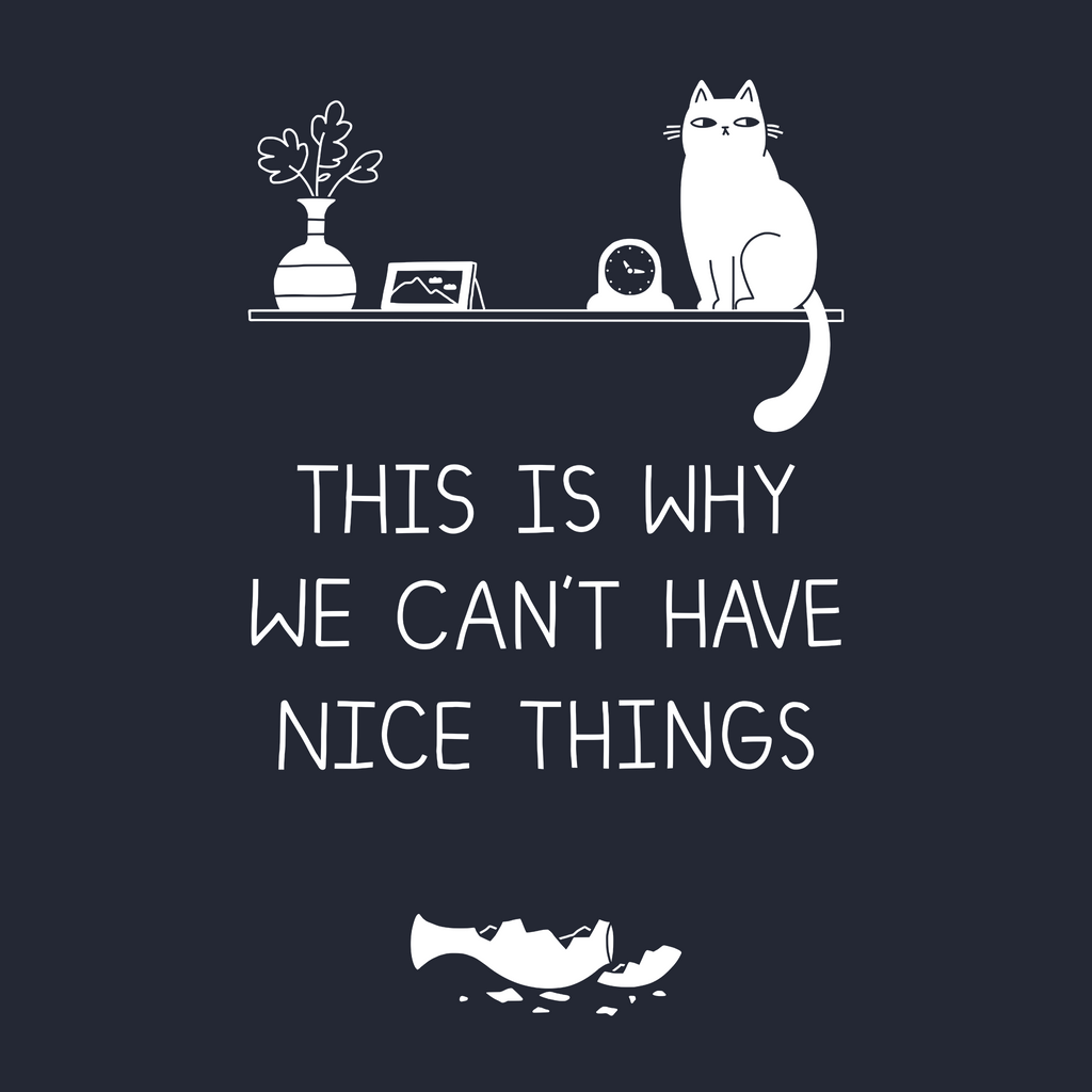 Why We Can't Have Nice Things Tee Hoodie, Sweatshirt | CiraTrend.com (Image 3)