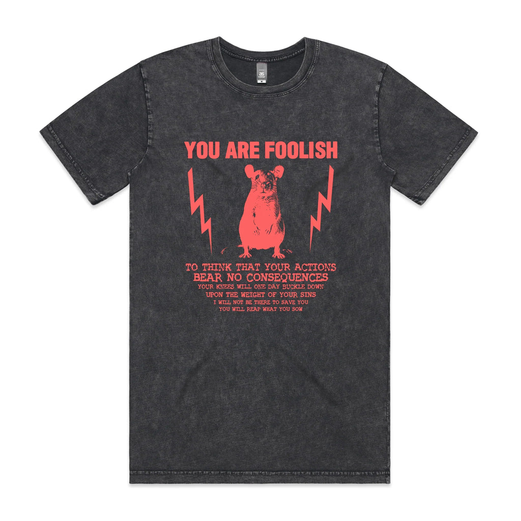 You Are Foolish Tee Hoodie, Sweatshirt | CiraTrend.com (Image 2)