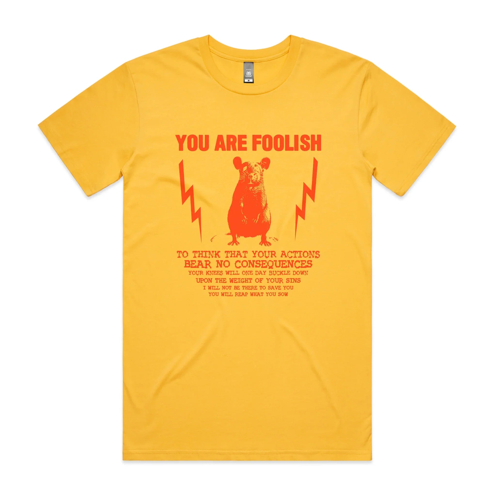 You Are Foolish Tee Hoodie, Sweatshirt | CiraTrend.com (Image 3)