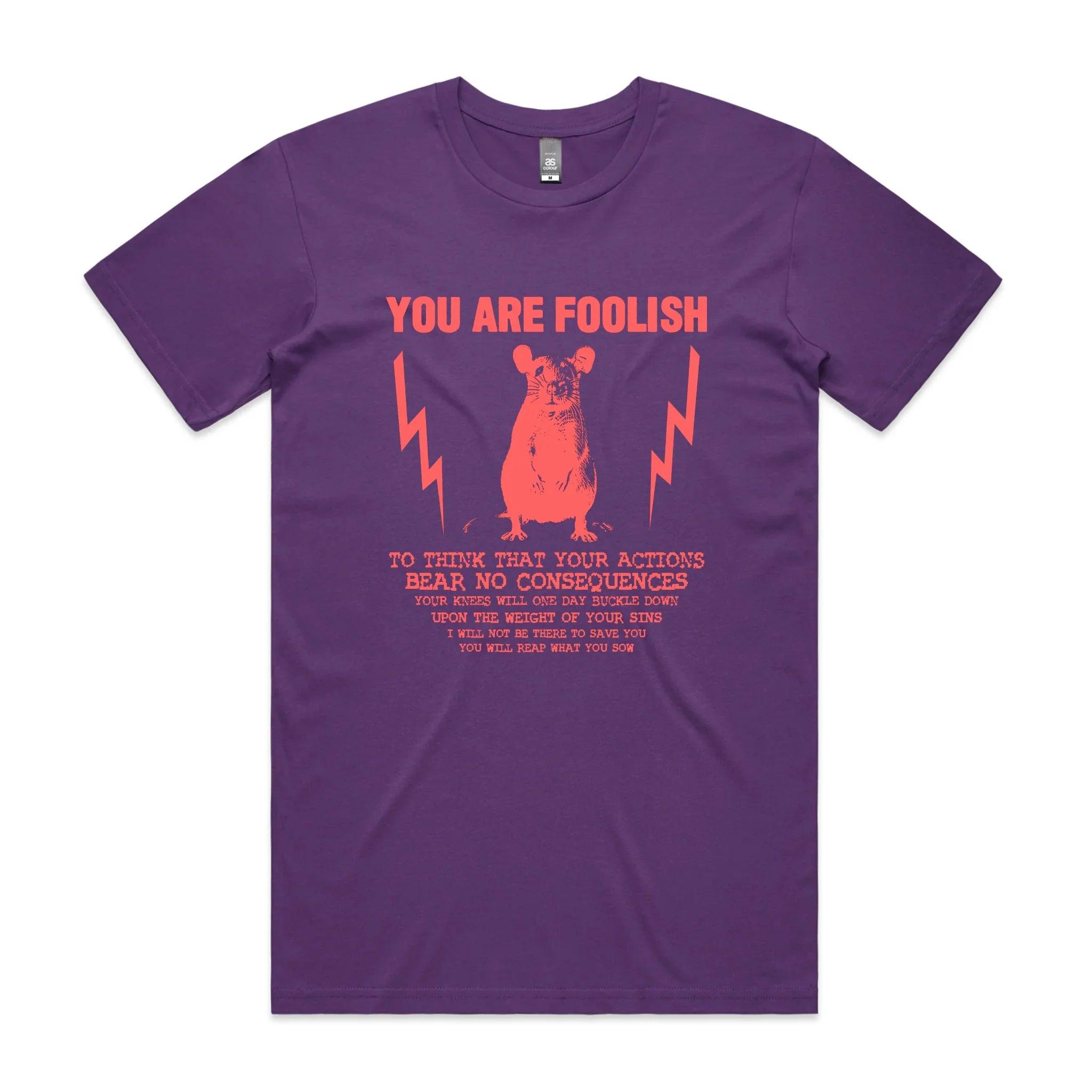 You Are Foolish Tee Hoodie, Sweatshirt | CiraTrend.com (Image 4)