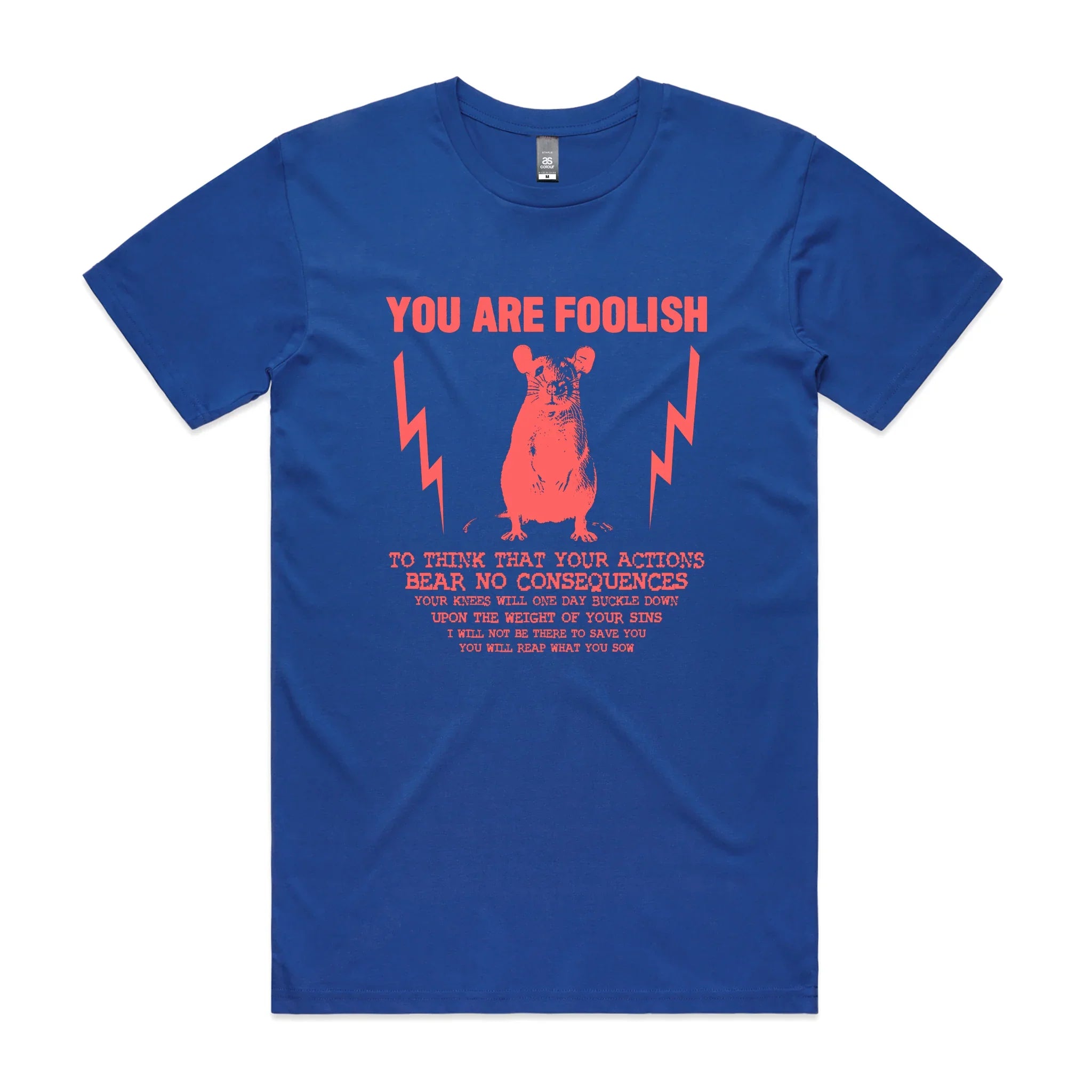 You Are Foolish Tee Hoodie, Sweatshirt | CiraTrend.com (Image 5)