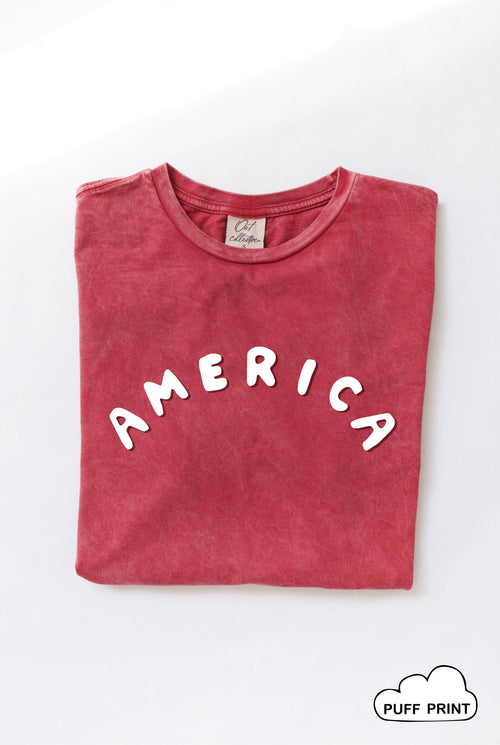America Puff Print Mineral Washed Graphic Top