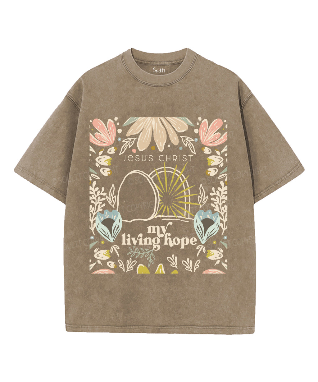 My Living Hope Unisex Washed Christian T-shirt Hoodie, Sweatshirt | CiraTrend.com (Image 5)