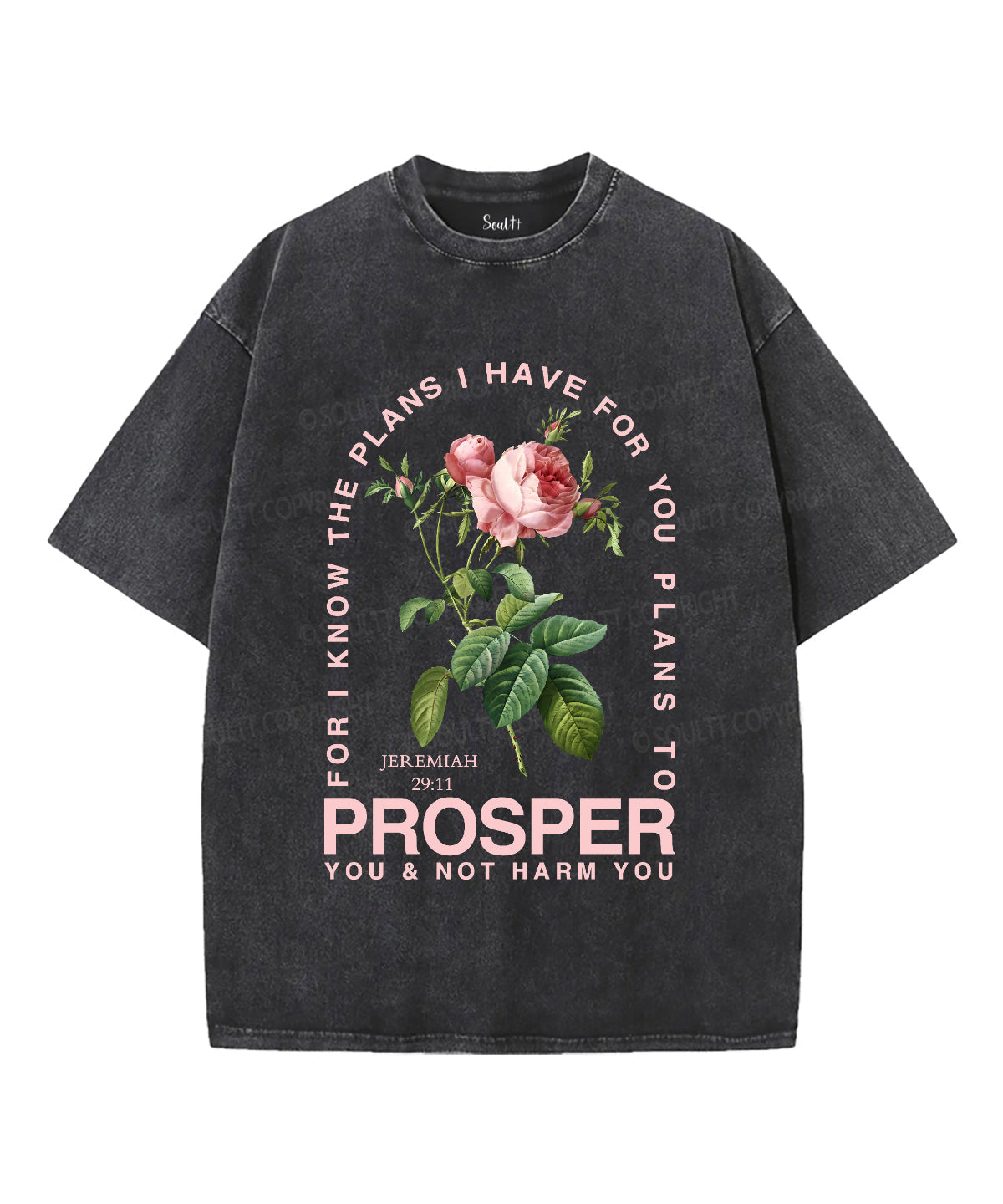 The Plans I Have For You Unisex Washed Christian T-shirt Style001 Hoodie, Sweatshirt | CiraTrend.com (Image 1)