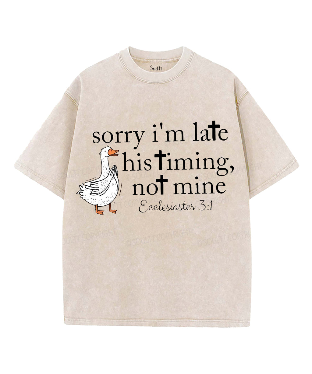 His Timing Not Mine Washed Christian T-Shirts, Hoodie, Sweatshirt