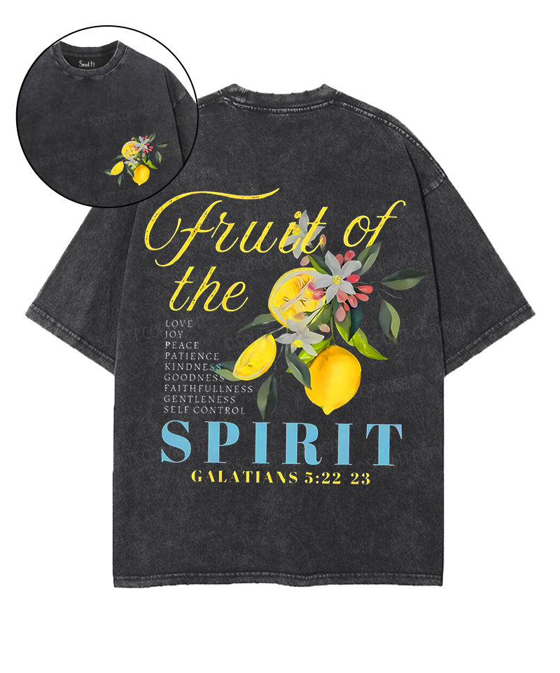 Fruit Of The Spirit Double Sided Unisex Washed Christian T-shirt Style035 Hoodie, Sweatshirt | CiraTrend.com (Image 1)