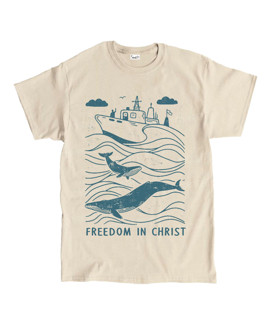 Freedom In Christ Unisex Cotton Christian T-Shirt Hoodie, Sweatshirt | CiraTrend.com (Image 1)