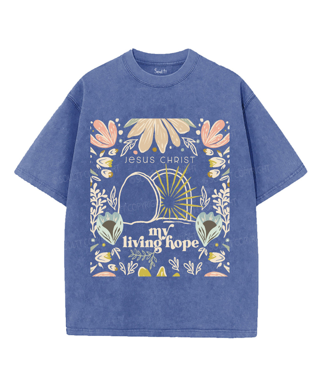 My Living Hope Unisex Washed Christian T-shirt Hoodie, Sweatshirt | CiraTrend.com (Image 3)