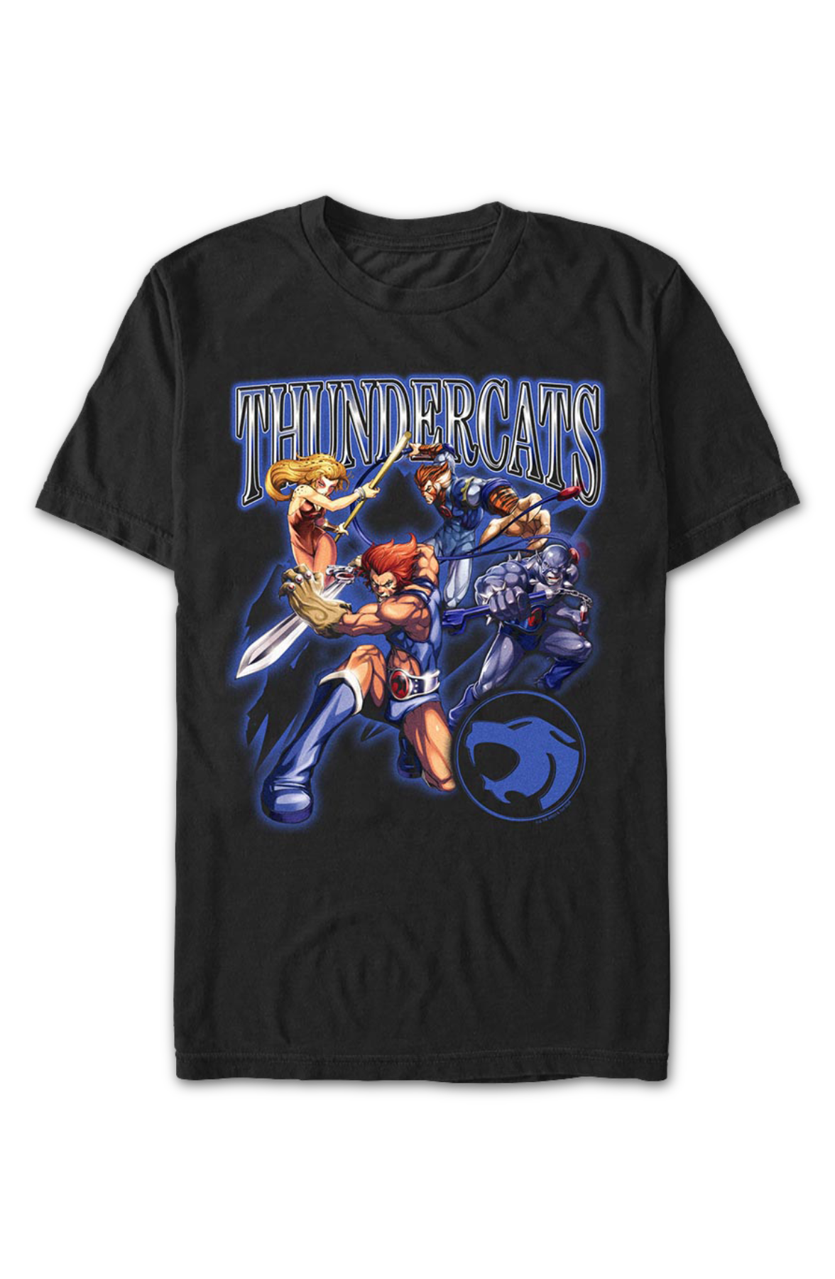 Action Poses ThunderCats T-Shirt Hoodie, Sweatshirt | CiraTrend.com (Image 2)