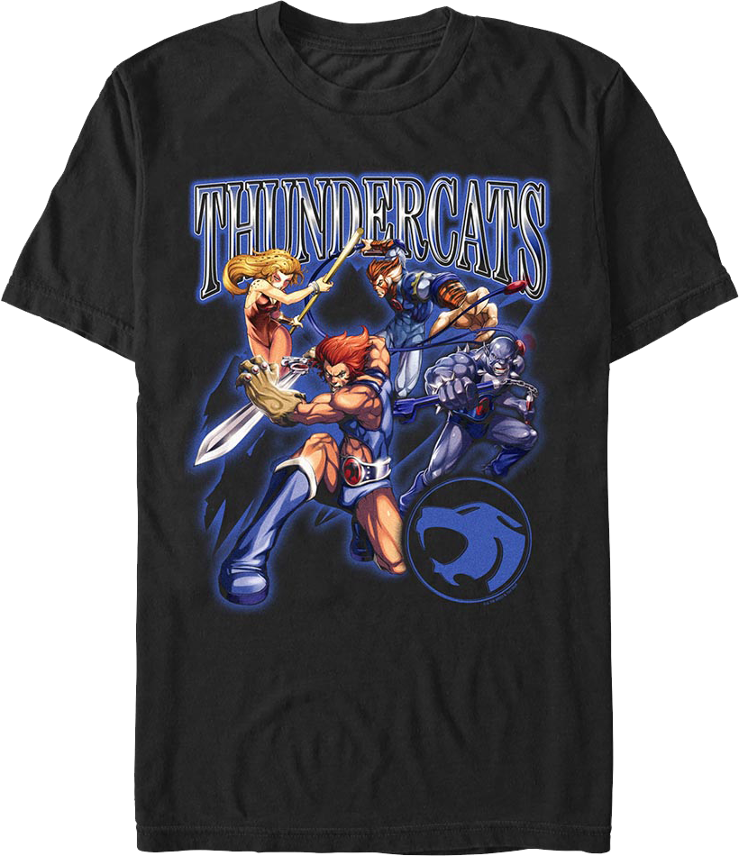 Action Poses ThunderCats T-Shirt Hoodie, Sweatshirt | CiraTrend.com (Image 1)