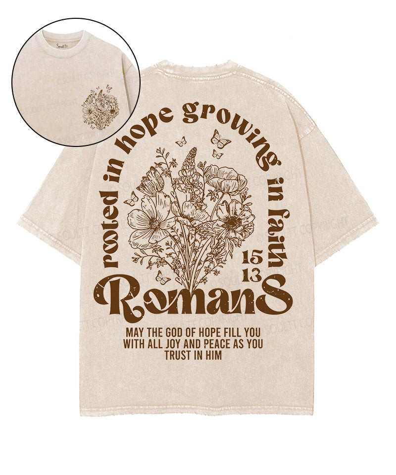 Growing In Faith Double Sided Unisex Washed Christian T-shirt Hoodie, Sweatshirt | CiraTrend.com (Image 1)