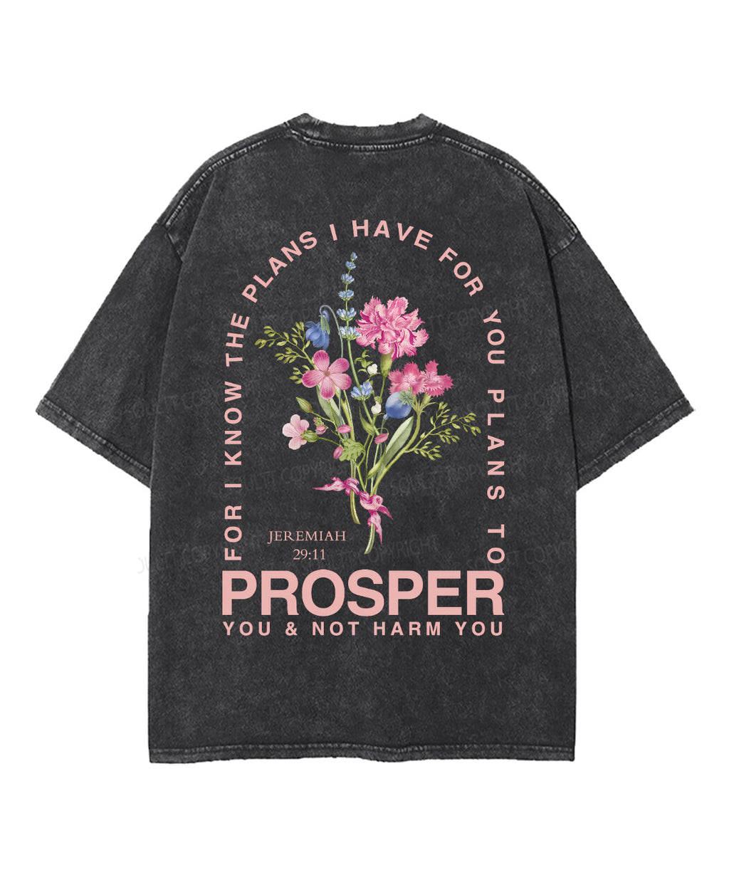 The Plan I Have For You Double Sided Unisex Washed Christian T-shirt Hoodie, Sweatshirt | CiraTrend.com (Image 3)