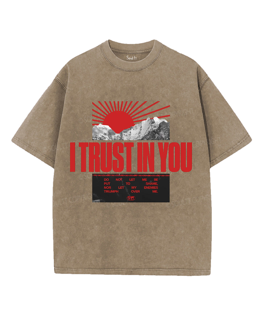 I Trust In You Unisex Washed Christian T-shirt Hoodie, Sweatshirt | CiraTrend.com (Image 5)