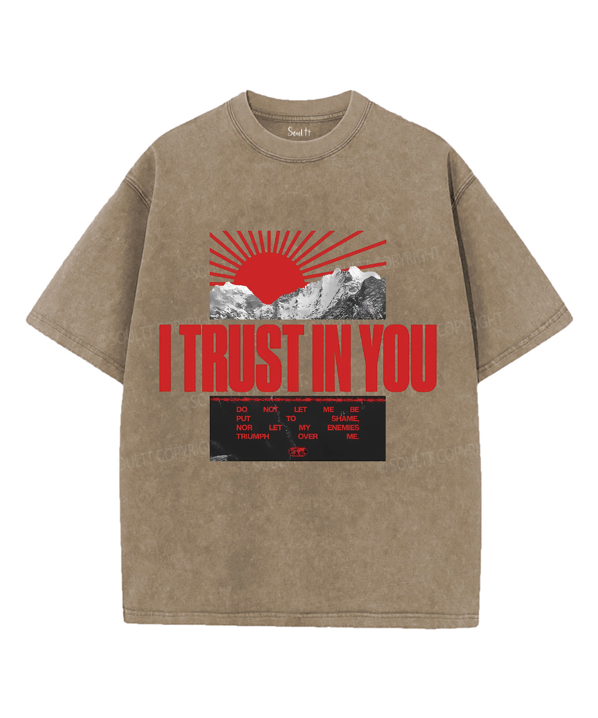 I Trust In You Unisex Washed Christian T-shirt Hoodie, Sweatshirt | CiraTrend.com (Image 5)