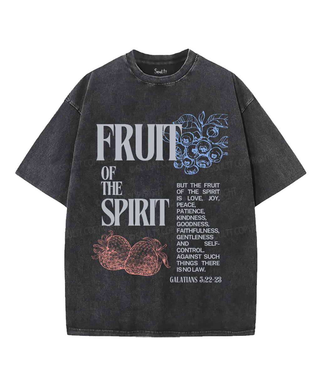 Fruit Spirit Washed Christian Style014 T-Shirts, Hoodie, Sweatshirt
