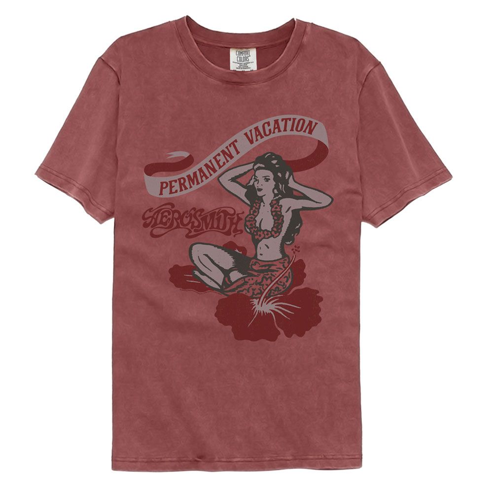 Aerosmith Pv Comfort Colors T-Shirt