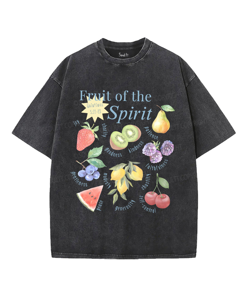 Fruit Of The Spirit Unisex Washed Christian T-shirt Style006 Hoodie, Sweatshirt | CiraTrend.com (Image 1)