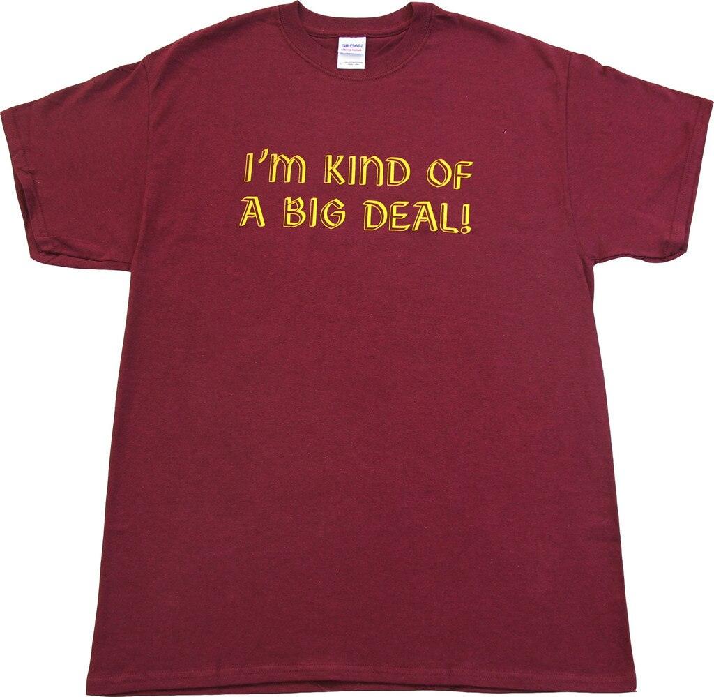 Anchorman I'm Kind of A Big Deal T-shirt Hoodie, Sweatshirt | CiraTrend.com