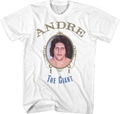 Andre The Giant T-Shirt Hoodie, Sweatshirt | CiraTrend.com (Image 1)