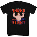 Andre The Giant - Wreck It Andre T-Shirt Hoodie, Sweatshirt | CiraTrend.com