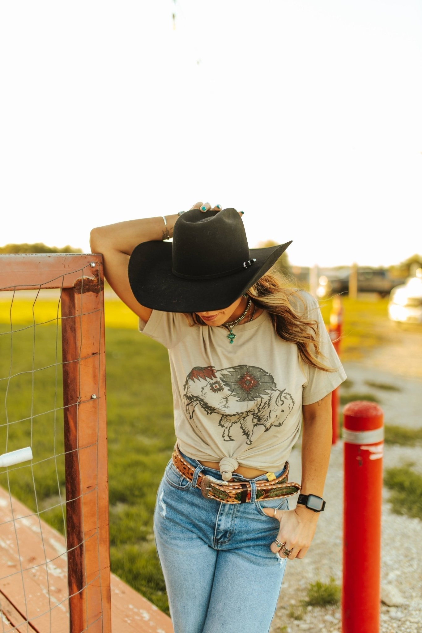 Aztec Bison Graphic Tee Shirt Hoodie, Sweatshirt | CiraTrend.com (Image 3)