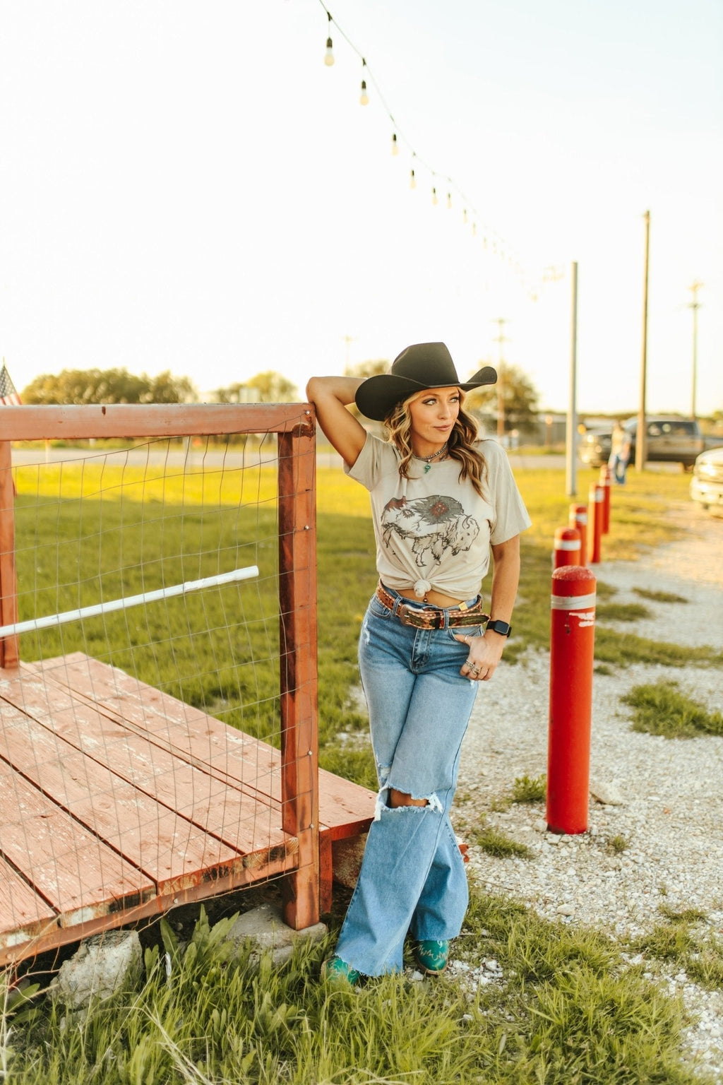 Aztec Bison Graphic Tee Shirt Hoodie, Sweatshirt | CiraTrend.com (Image 2)