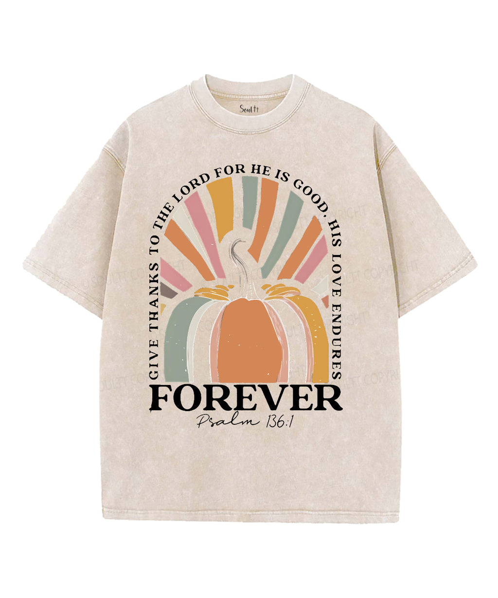 His Love Endures Unisex Washed Christian T-shirt Hoodie, Sweatshirt | CiraTrend.com (Image 4)