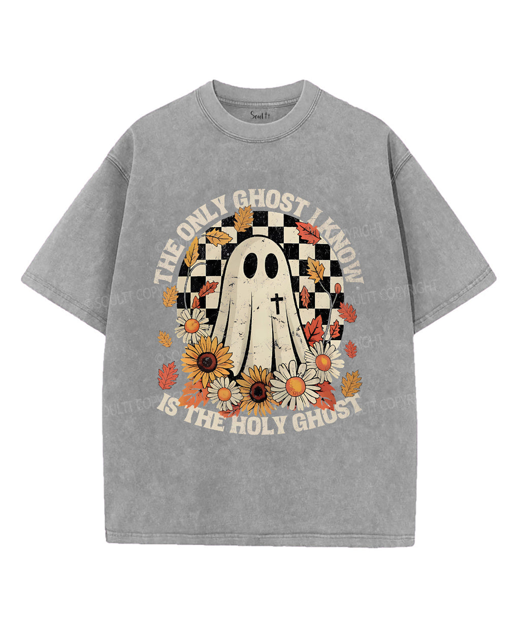The Only Ghost Is Holy Ghost Unisex Washed Christian T-shirt Style001 Hoodie, Sweatshirt | CiraTrend.com (Image 3)