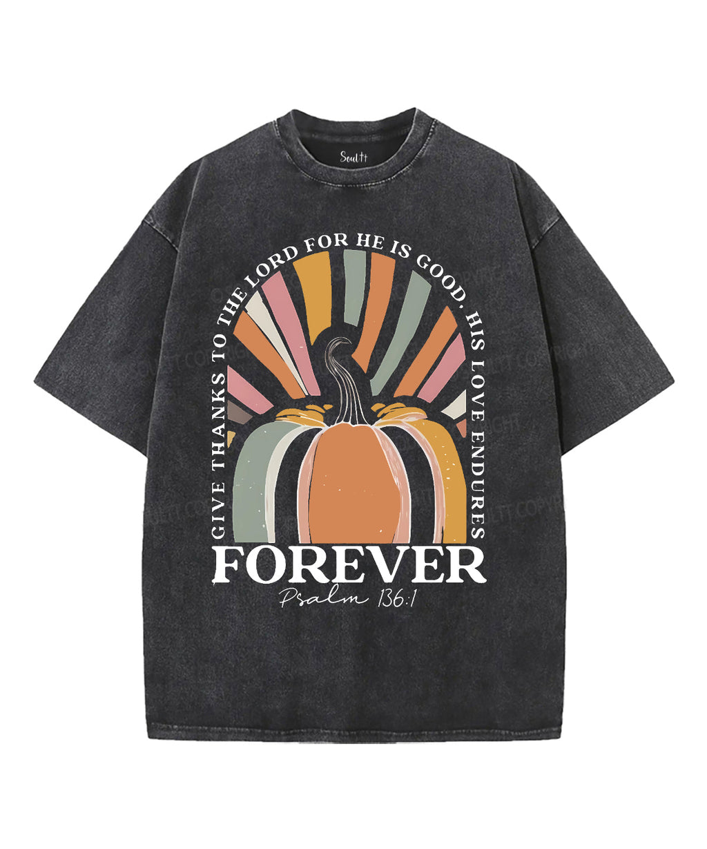 His Love Endures Unisex Washed Christian T-shirt Hoodie, Sweatshirt | CiraTrend.com (Image 1)
