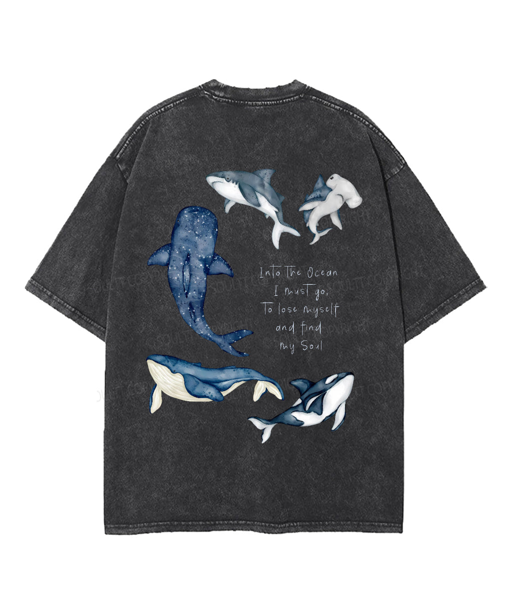 Find My Soul Double Sided Unisex Washed Christian T-shirt Hoodie, Sweatshirt | CiraTrend.com (Image 2)
