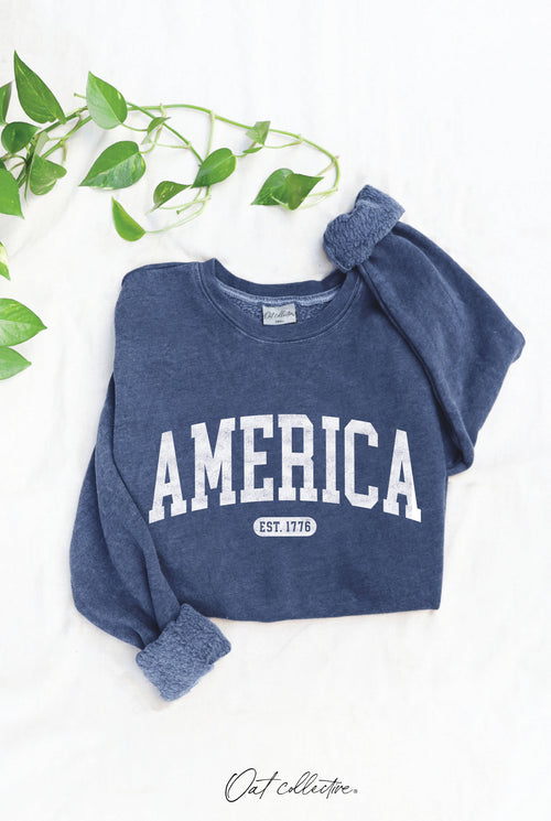 America Est 1776  Mineral Graphic Sweatshirt
