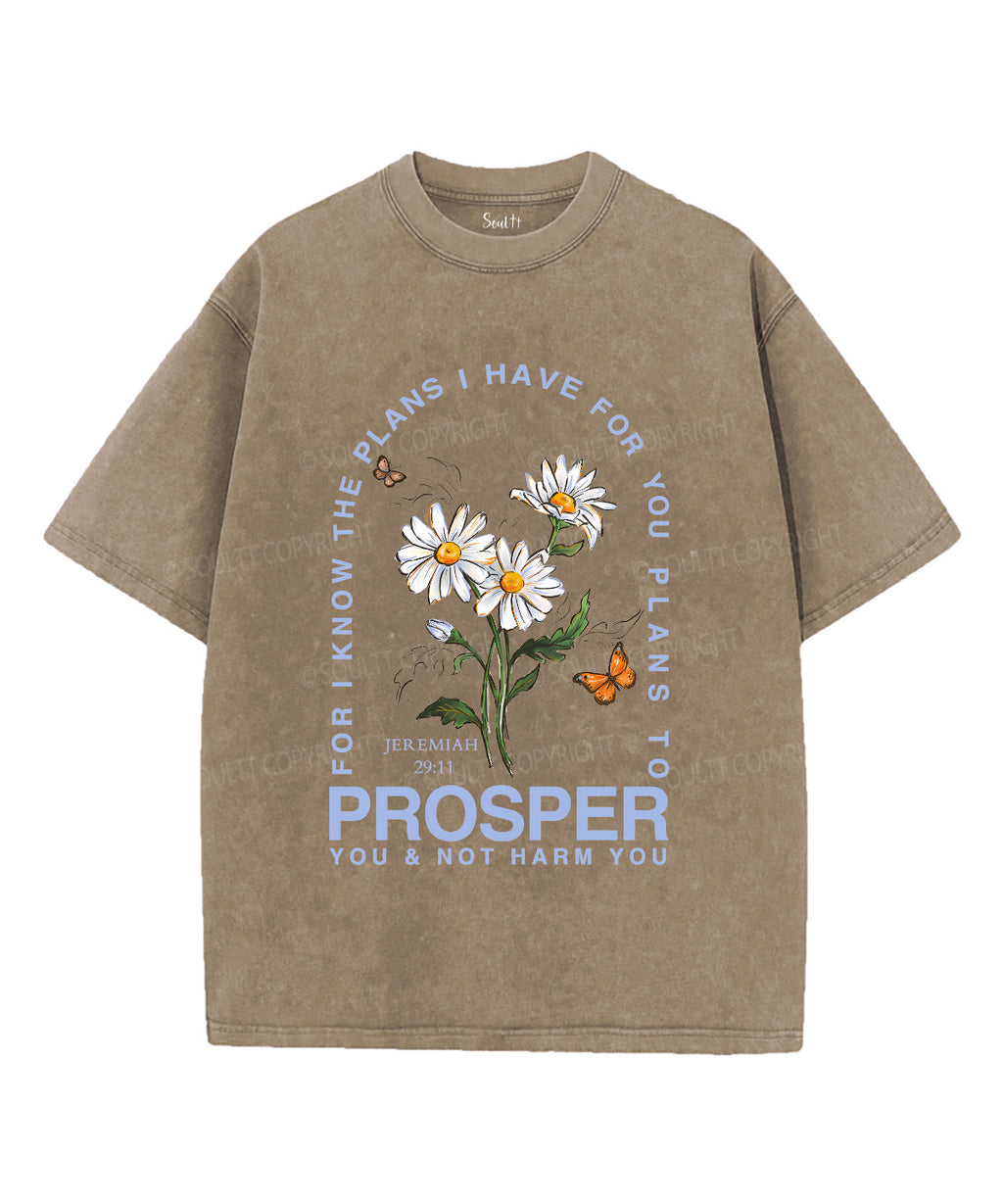 The Plans I Have For You Unisex Washed Christian T-shirt Style003 Hoodie, Sweatshirt | CiraTrend.com (Image 5)