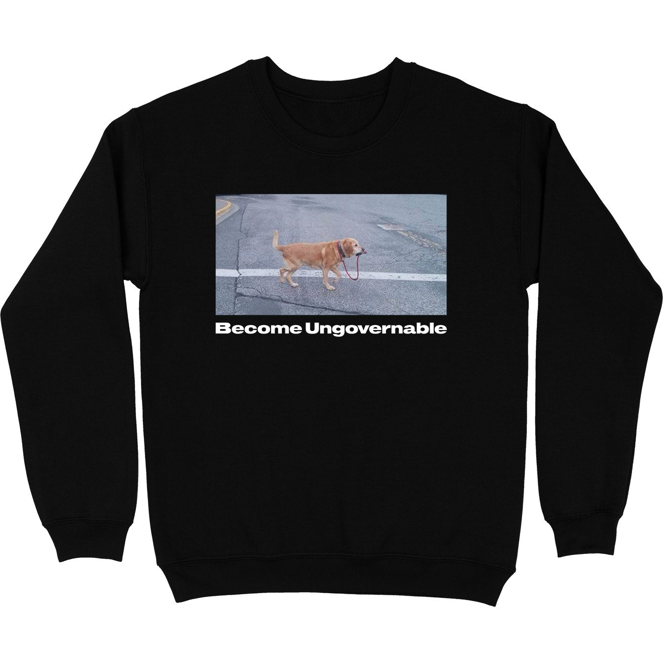 Become Ungovernable Crewneck Sweatshirt T-Shirts, Hoodie | CiraTrend.com (Image 2)