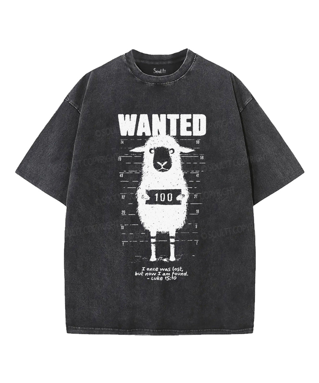 Now I Am Found Unisex Washed Christian T-shirt Hoodie, Sweatshirt | CiraTrend.com (Image 1)