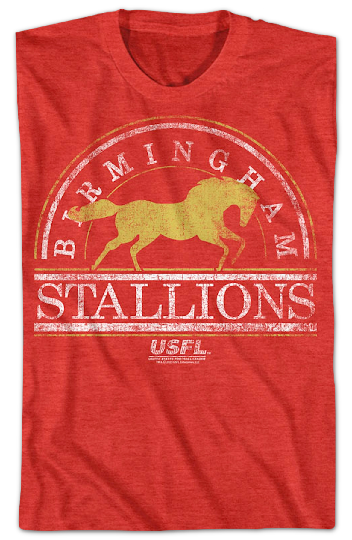 Birmingham Stallions USFL T-Shirt Hoodie, Sweatshirt | CiraTrend.com (Image 2)
