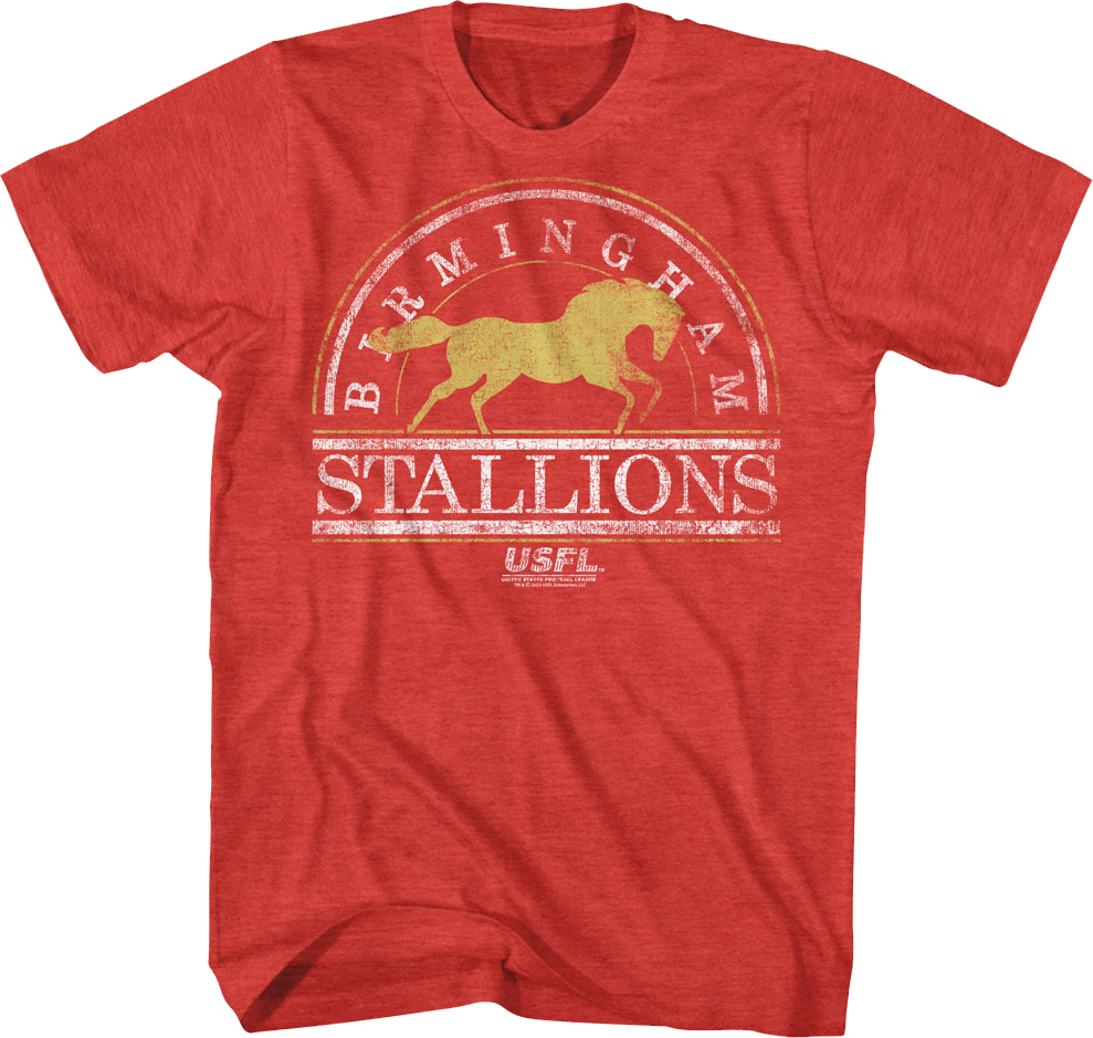 Birmingham Stallions USFL T-Shirt Hoodie, Sweatshirt | CiraTrend.com (Image 1)