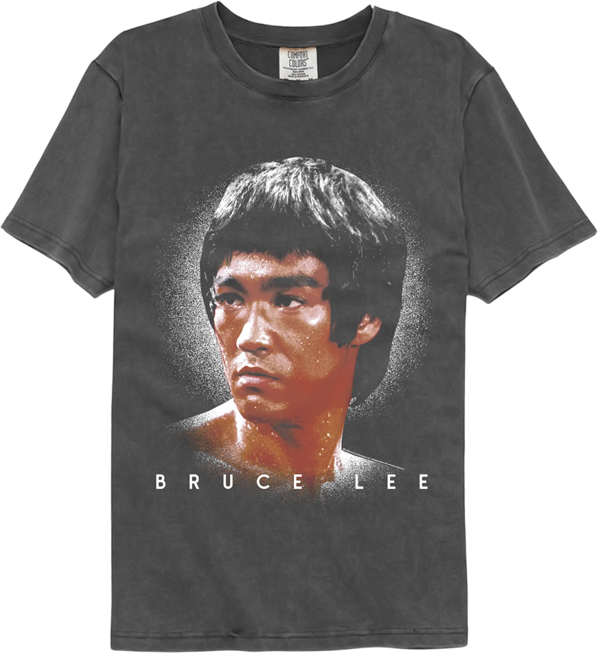 Bruce Lee Shadow Strike Comfort Colors Brand T-Shirts, Hoodie, Sweatshirt
