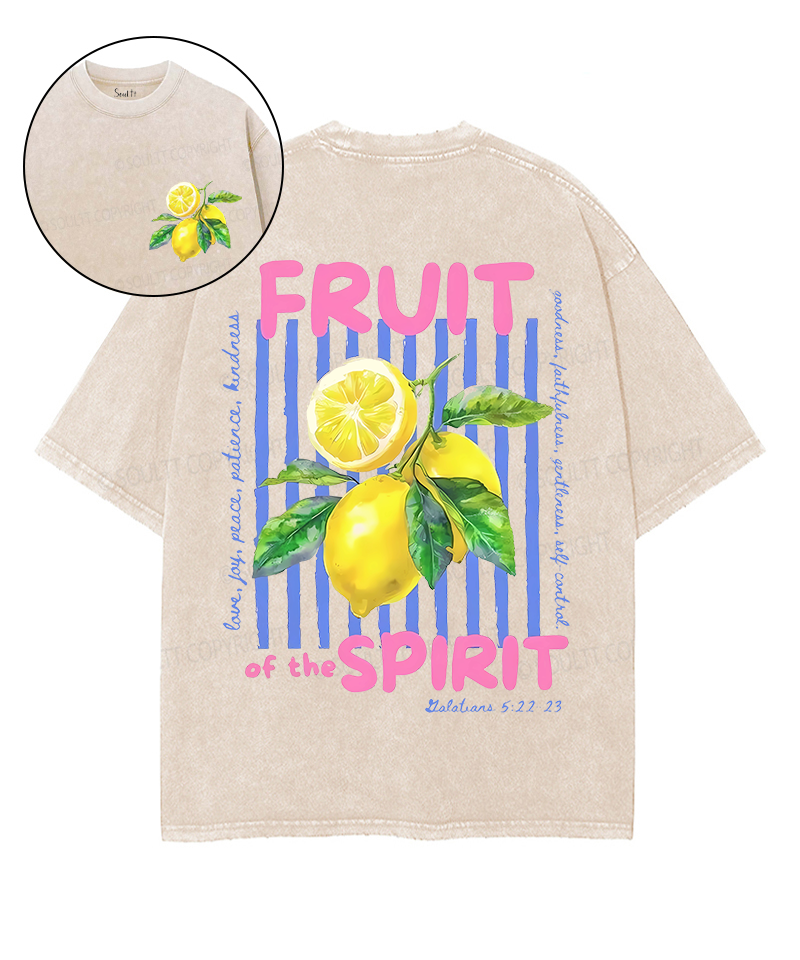 Fruit Spirit Double Sided Washed Christian Style034 T-Shirts, Hoodie, Sweatshirt