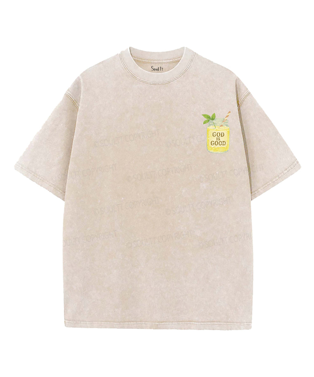 Squeeze the Day Double Sided Unisex Washed Christian T-shirt Hoodie, Sweatshirt | CiraTrend.com (Image 2)