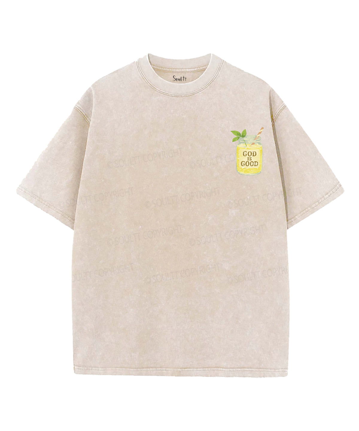Squeeze the Day Double Sided Unisex Washed Christian T-shirt Hoodie, Sweatshirt | CiraTrend.com (Image 2)