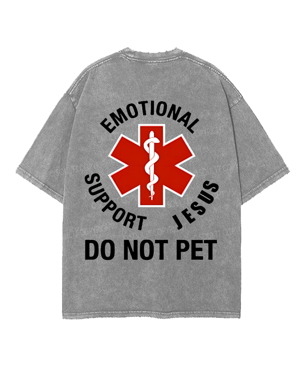 Do Not Pet Double Sided Washed Christian T-Shirts, Hoodie, Sweatshirt