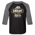 Carroll Shelby Old Sign Color Change Baseball Shirt Hoodie, Sweatshirt | CiraTrend.com