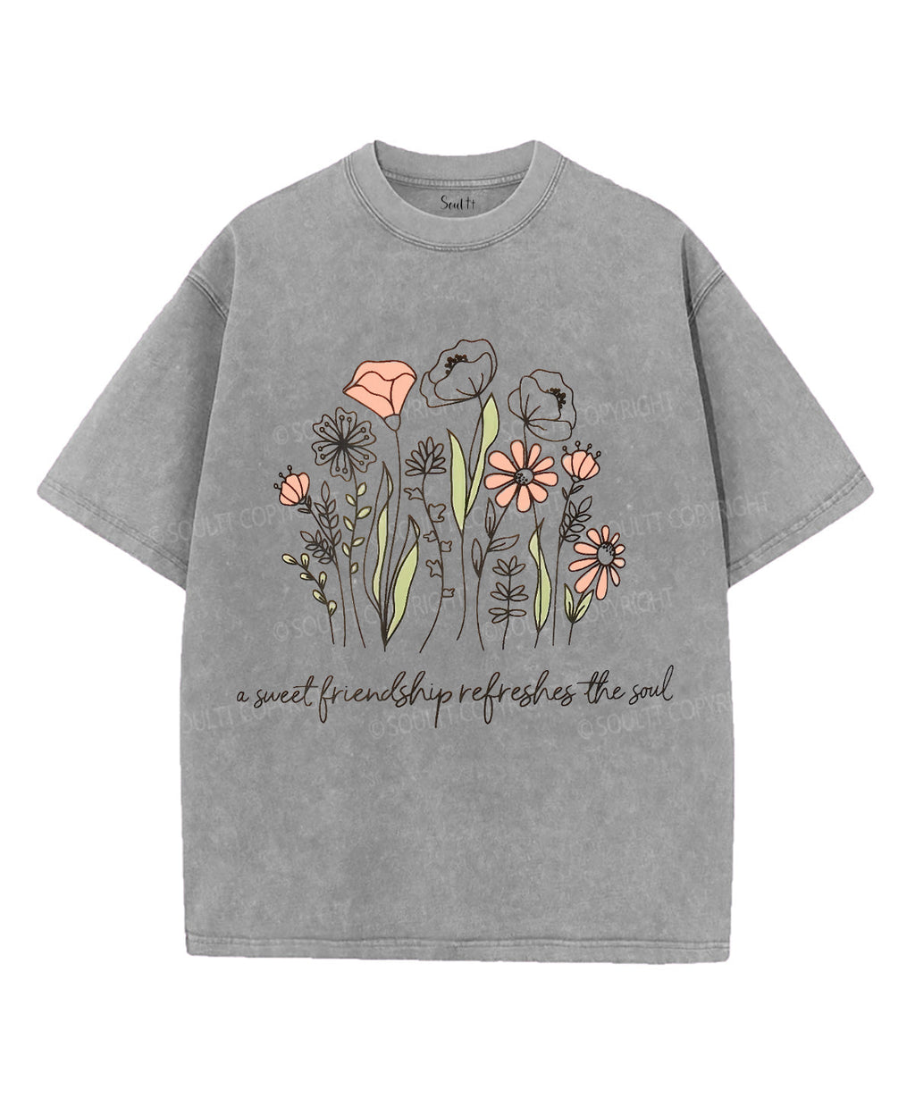 A Sweet Friendship Refreshes The Soul Unisex Washed Christian T-shirt Hoodie, Sweatshirt | CiraTrend.com (Image 2)